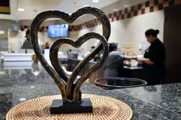 Bariatric Hospital Amenities