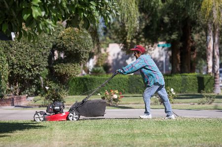BARBARA-HERNANDEZ-mowing