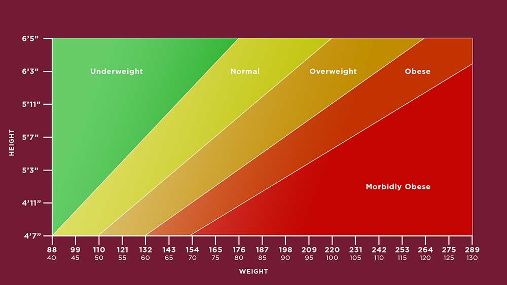 Bariatrics BMI Graphic