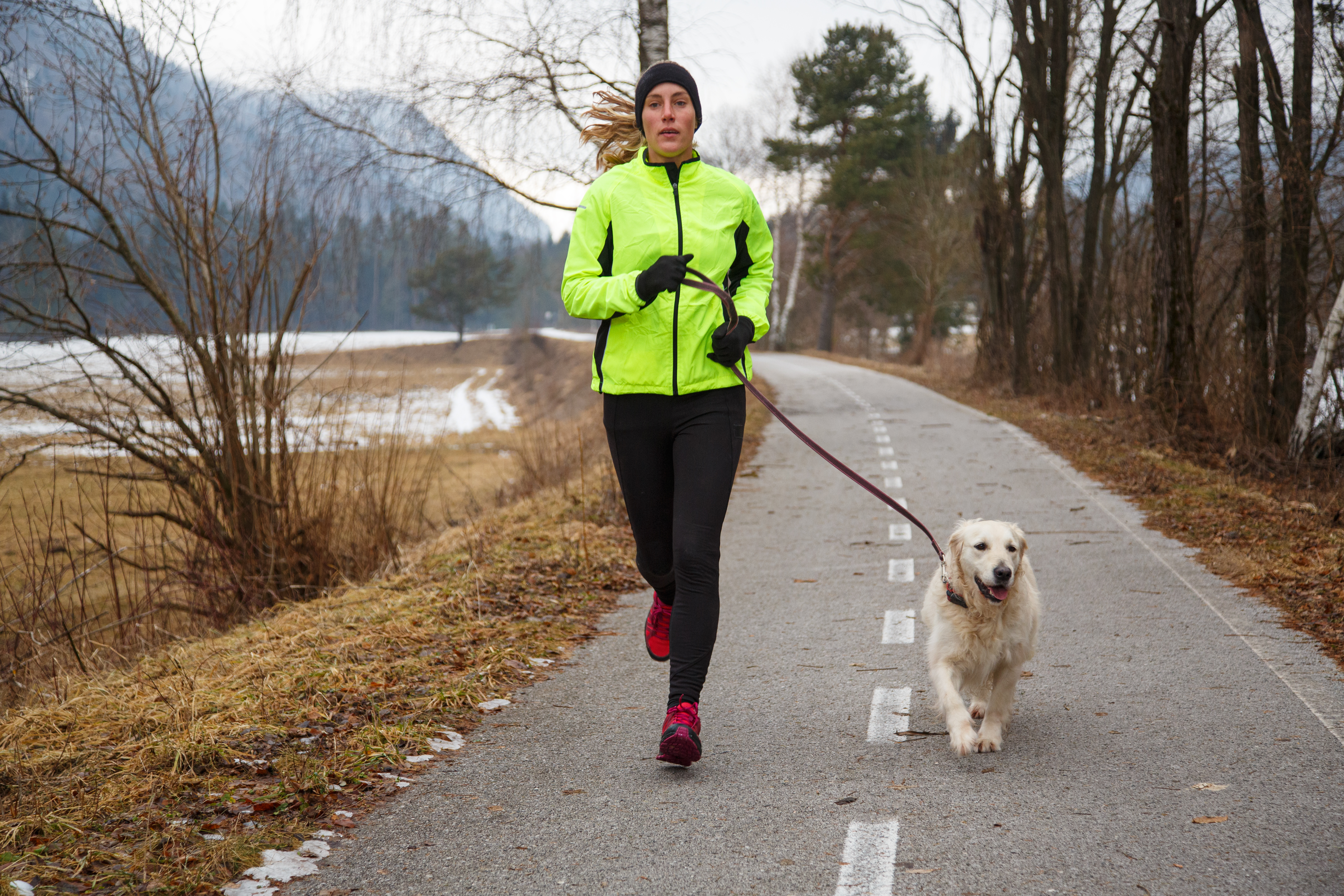 Newsroom-running-with-dog