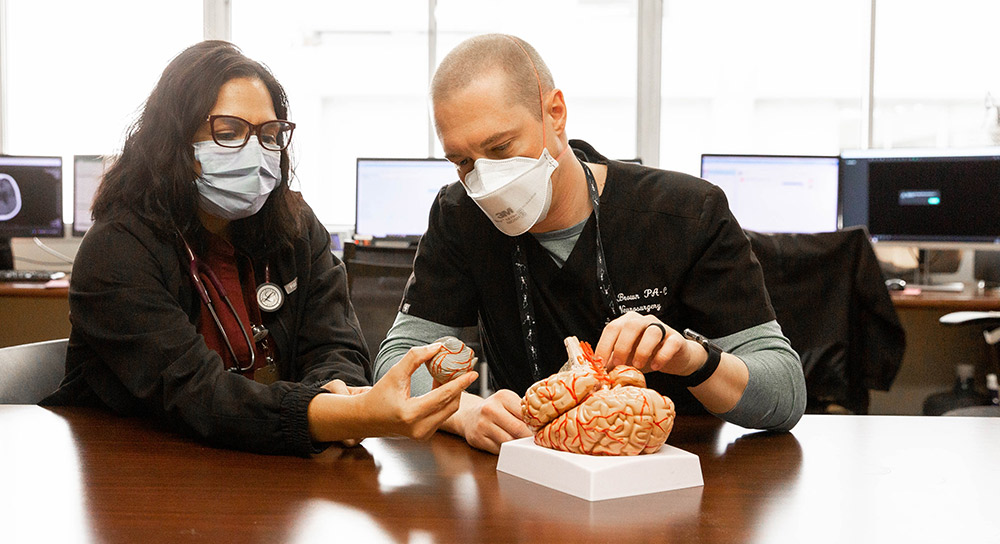 A woman and a man sit at a table examining a model of the human brain